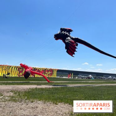 Festival de Cerfs-Volants à la Base 217 - IMG 2209