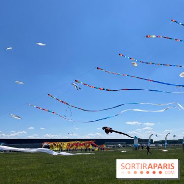 Festival de Cerfs-Volants à la Base 217 - IMG 2211