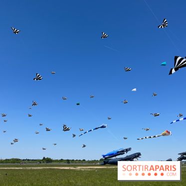 Festival de Cerfs-Volants à la Base 217 - IMG 2212