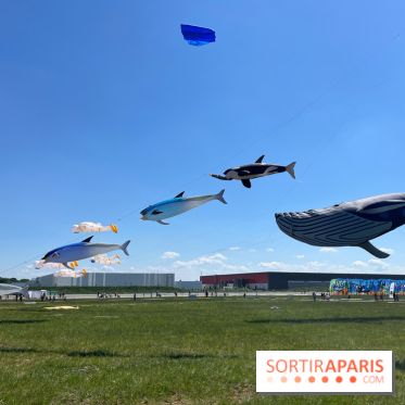 Festival de Cerfs-Volants à la Base 217 - IMG 2215