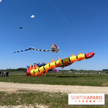 Festival de Cerfs-Volants à la Base 217 - IMG 2217