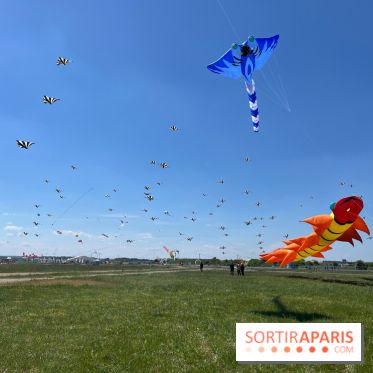 Festival de Cerfs-Volants à la Base 217 - IMG 2218