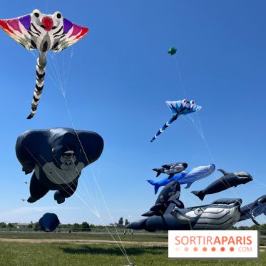 Festival de Cerfs-Volants à la Base 217 - IMG 2220