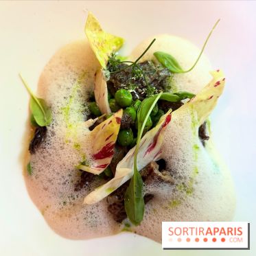 Villa9Trois - Morilles à l'étuvée