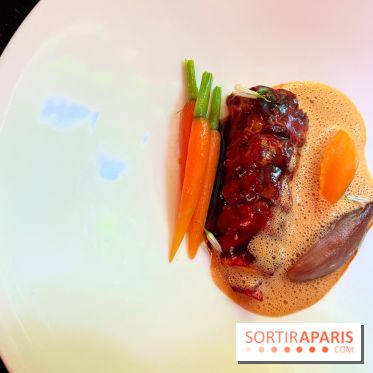 Villa9Trois - Homard, romarin, carottes