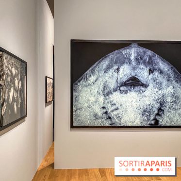 Jean Gaumy et la Mer : l'exposition maritime intimiste au Musée de la Marine - IMG 5471