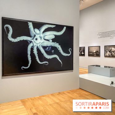 Jean Gaumy et la Mer : l'exposition maritime intimiste au Musée de la Marine - IMG 5473