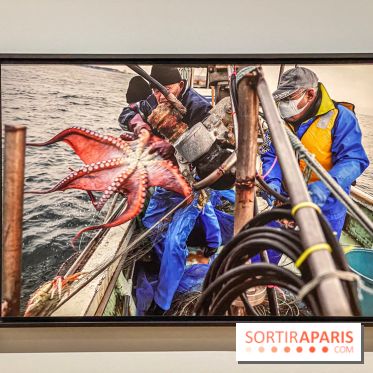 Jean Gaumy et la Mer : l'exposition maritime intimiste au Musée de la Marine