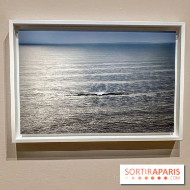 Jean Gaumy et la Mer : l'exposition maritime intimiste au Musée de la Marine