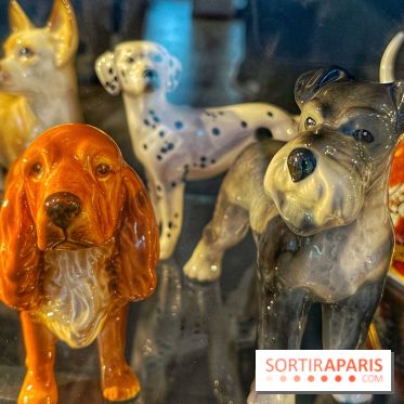 Collection dédié aux chiens