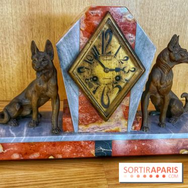 Collection dédié aux chiens
