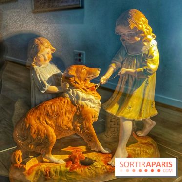 Collection dédié aux chiens