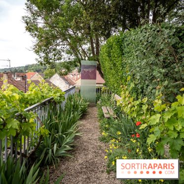La maison du Docteur Gachet, les photos - A7C08631
