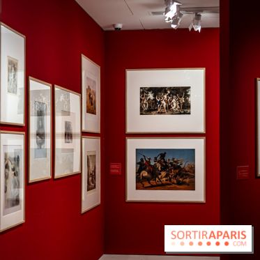 Exposition Van Gogh, les derniers voyages - photos - A7C08712