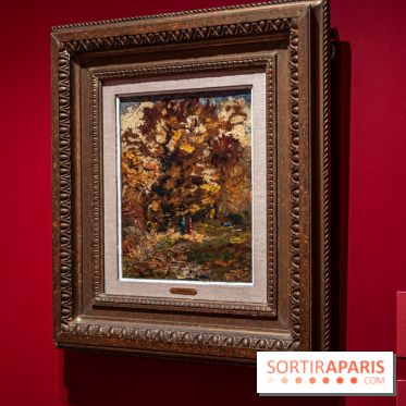 Exposition Van Gogh, les derniers voyages - photos - A7C08719