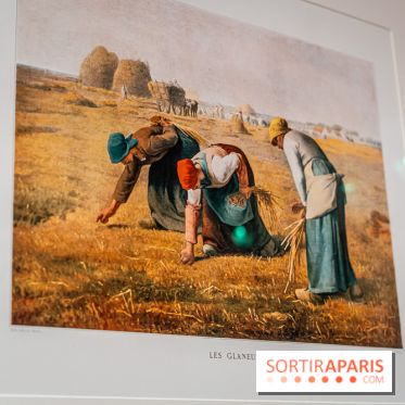 Exposition Van Gogh, les derniers voyages - photos - A7C08725