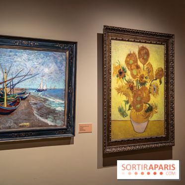 Exposition Van Gogh, les derniers voyages - photos - A7C08743