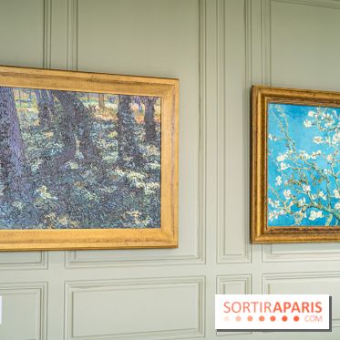 Exposition Van Gogh, les derniers voyages - photos - A7C08746
