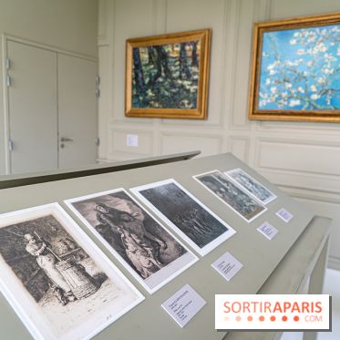 Exposition Van Gogh, les derniers voyages - photos - A7C08748