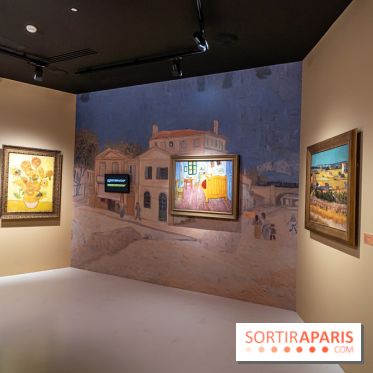 Exposition Van Gogh, les derniers voyages - photos - A7C08750