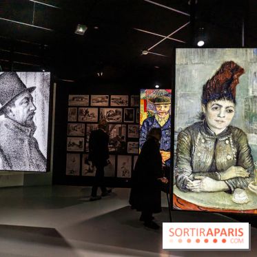 Exposition Van Gogh, les derniers voyages - photos - A7C08754