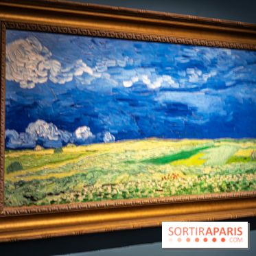 Exposition Van Gogh, les derniers voyages - photos - A7C08772