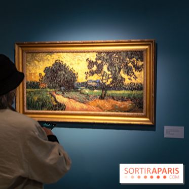 Exposition Van Gogh, les derniers voyages - photos