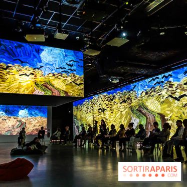 Exposition Van Gogh, les derniers voyages - photos - A7C08799