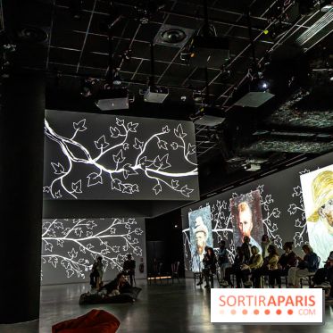 Exposition Van Gogh, les derniers voyages - photos - A7C08807