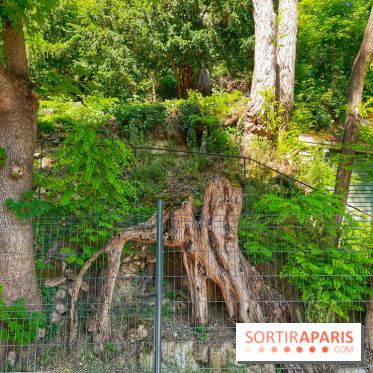 Encore plus d'Auvers-sur-Oise