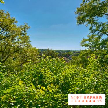 Encore plus d'Auvers-sur-Oise