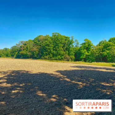 Encore plus d'Auvers-sur-Oise