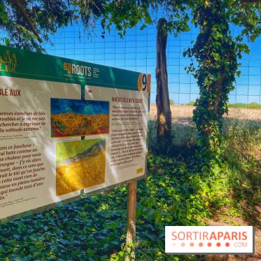 Encore plus d'Auvers-sur-Oise