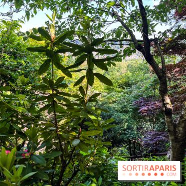 La pagode Trúc Lâm Thiền Viện - nos photos - image00008