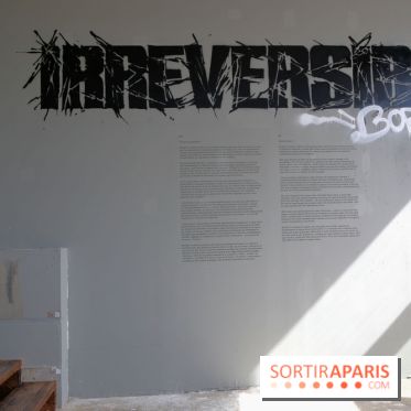 Bordalo II présente son exposition « Irréversible » à Paris, nos photos - Expo Bordalo 7 fotor 20250521131214