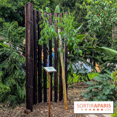 Jardins, Jardin 2025 : CHANEL dévoile son jardin parfumé & immersif au parc de la Villa Windsor - image00005