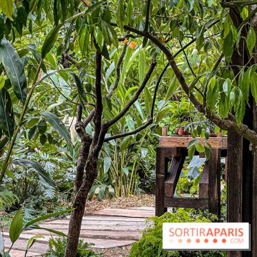 Jardins, Jardin 2025 : CHANEL dévoile son jardin parfumé & immersif au parc de la Villa Windsor - image00009