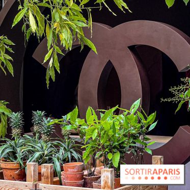 Jardins, Jardin 2025 : CHANEL dévoile son jardin parfumé & immersif au parc de la Villa Windsor - image00019