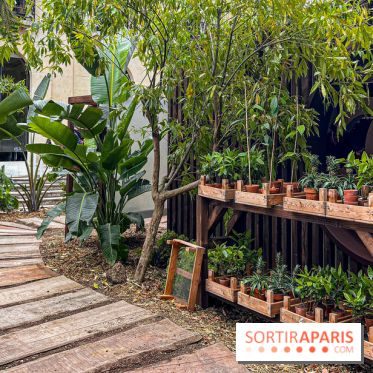 Jardins, Jardin 2025 : CHANEL dévoile son jardin parfumé & immersif au parc de la Villa Windsor - image00023