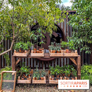 Jardins, Jardin 2025 : CHANEL dévoile son jardin parfumé & immersif au parc de la Villa Windsor - image00029