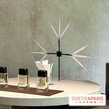 Jardins, Jardin 2025 : CHANEL dévoile son jardin parfumé & immersif au parc de la Villa Windsor - image00037