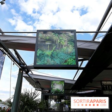 Quai de la Photo à Paris, nos photos de la terrasse d'été 2025  - Quai photo 8