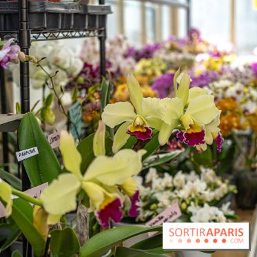 Jardins jardin 2025, les photos