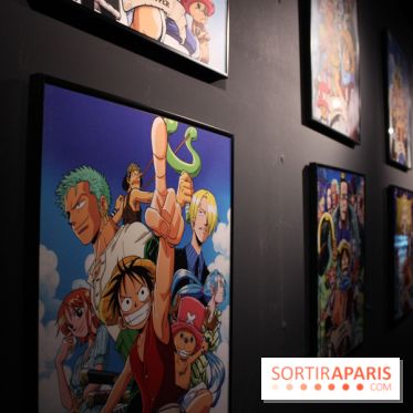 One Piece à l'Aquarium de Paris