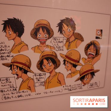 One Piece à l'Aquarium de Paris