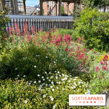 Jardin Anna Marly - nos photos
