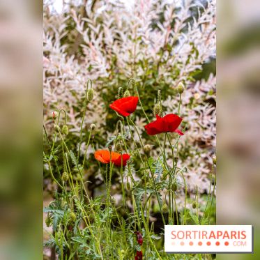 Les Jardins de Juliette à Elancourt