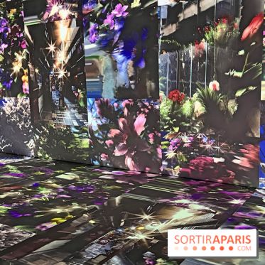 Artificial Dreams II au Grand Palais Immersif : l'exposition nocturne - IMG 1003