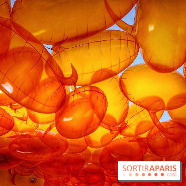 Euphoria - IMG 2730 2