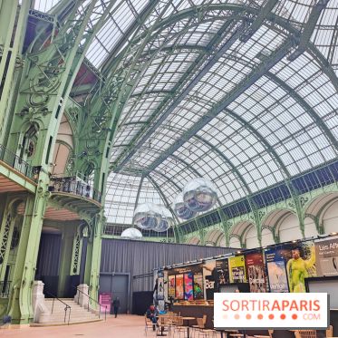 Grand Palais, visuels du monument parisien - fotor 1749119963565